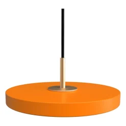 Asteria Micro Pendelleuchte