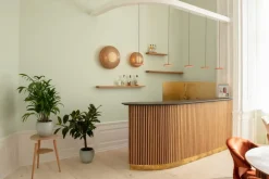 Asteria Micro Pendelleuchte