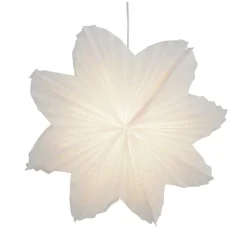 Daisy Adventsstern Ø60cm