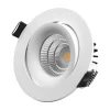 Designlight Downlight kippbar inklusive Treiber Ø9 cm