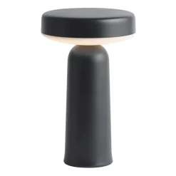 Ease portable Tischleuchte 21,5cm