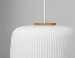 EK61 Pendelleuchte Ø24 cm