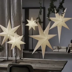 Frozen Adventsstern mit Fuß