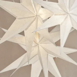 Greta Weihnachtsstern weiß