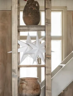 Greta Weihnachtsstern weiß