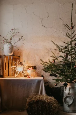 Karin Adventsstern Ø45cm