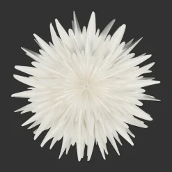 Luna Adventsstern weiß