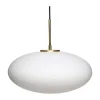 Muse Ellipse Pendelleuchte