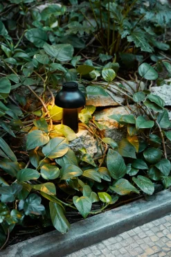 PC Portable Tischleuchte