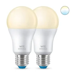 Philips WiZ dimmbare Lichtquelle 2er-Pack