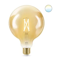 Philips WiZ Globus Lichtquelle E27 50W