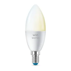 Philips WiZ Leuchtmittel E14 40W