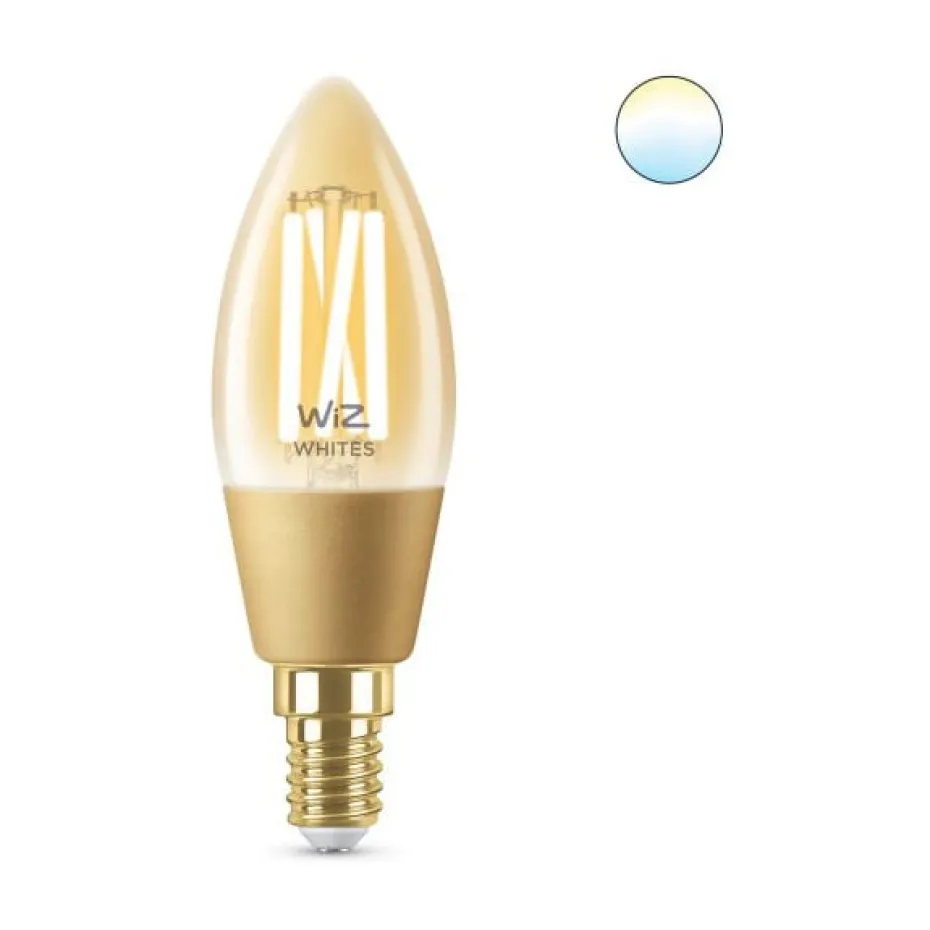 Philips WiZ Leuchtmittel E14 25W