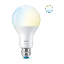 Philips WiZ Leuchtmittel E27 100W