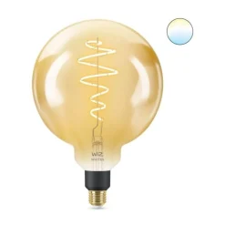 Philips WiZ Leuchtmittel E27 25W