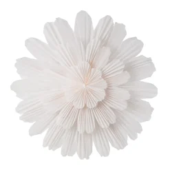 Snöblomma Adventstern