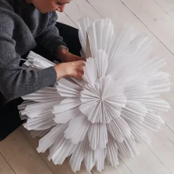 Snöblomma Adventstern