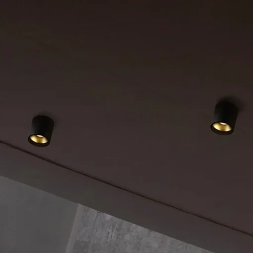 Solo Round spotlight