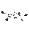 Stingray Kronleuchter 150 x 200 cm