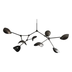 Stingray Kronleuchter 150 x 200 cm